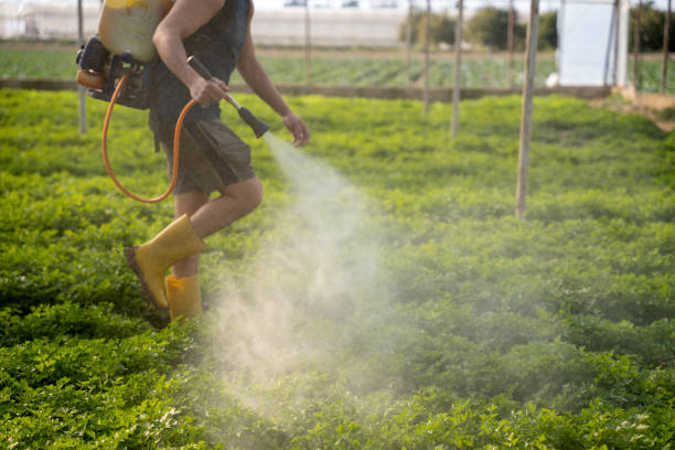 Best Pest Removal Services  in , RI