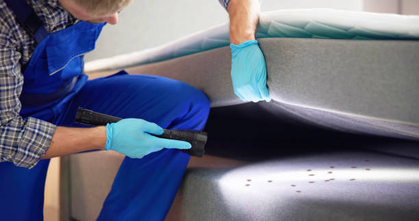 Best Ant Control Services  in , RI