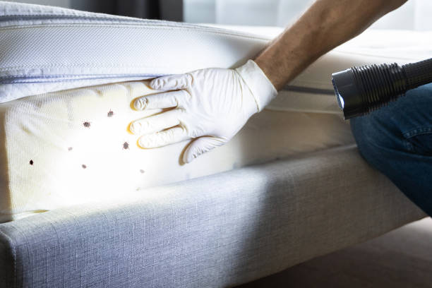 Best Cockroach Control Services  in , RI
