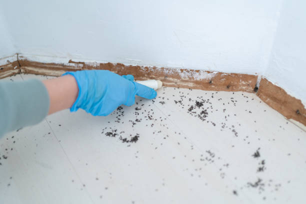 Best Best Pest Control Companies  in , RI