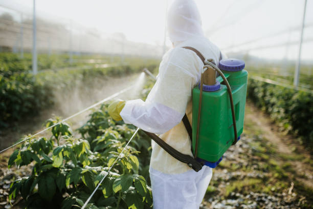 Best Local Pest Control Services  in , RI